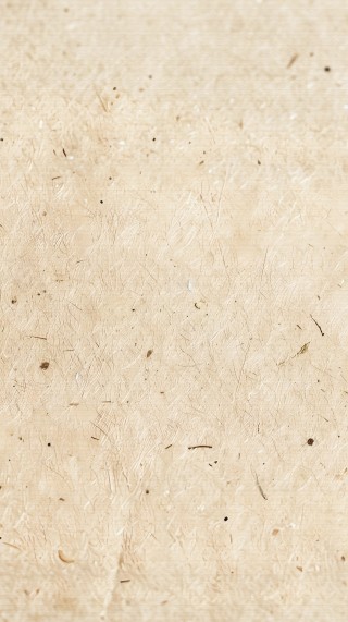棕色草纸纹理背景图片