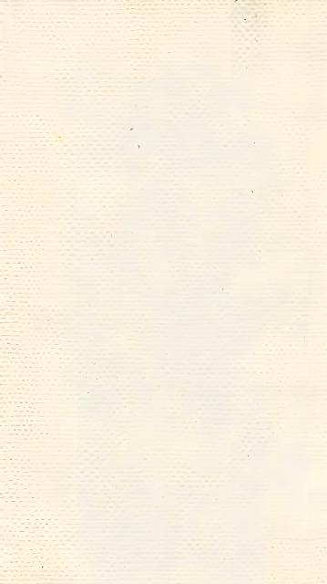 米黄色纯色纹理图片