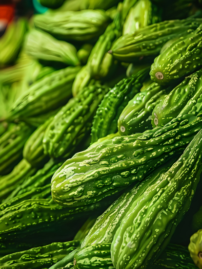 一大堆苦瓜图片