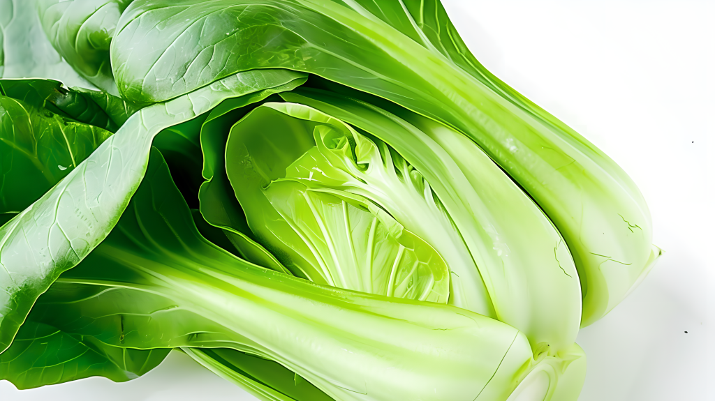 油菜创意版权图片下载