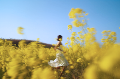 远处的花海女孩摄影图片