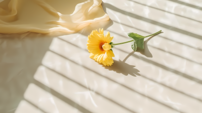 白瓷砖上的小黄花摄影图