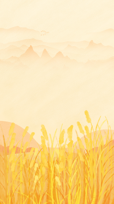 丰收季节稻田风光背景