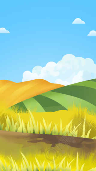蓝天白云丰收季金黄的稻田背景