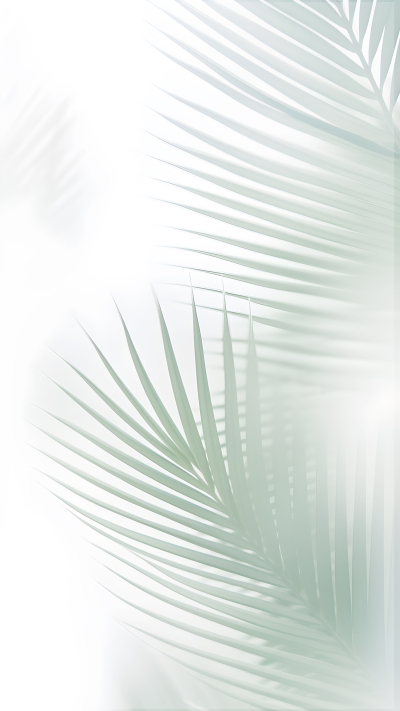 极简风浅绿色叶子背景