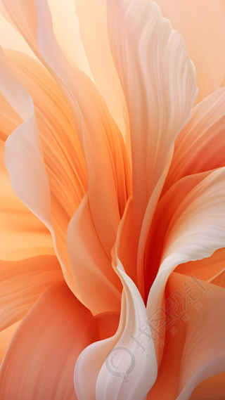 质感纹理橙色花瓣背景
