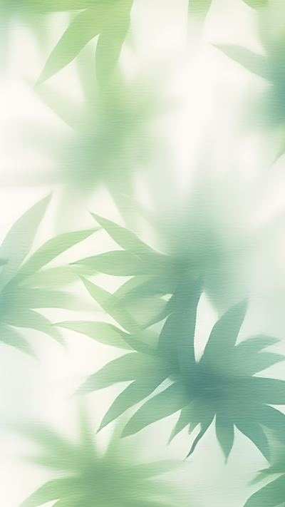 阳光下的绿叶创意背景