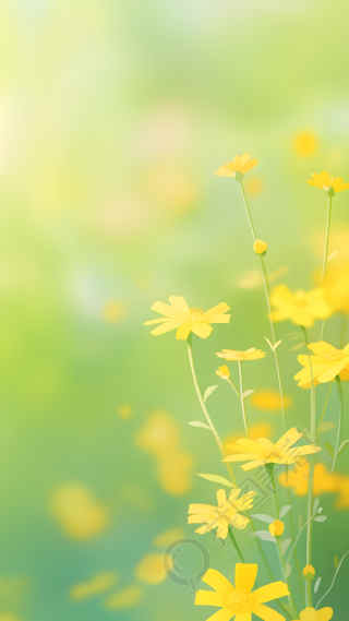 光影中的黄色小花背景