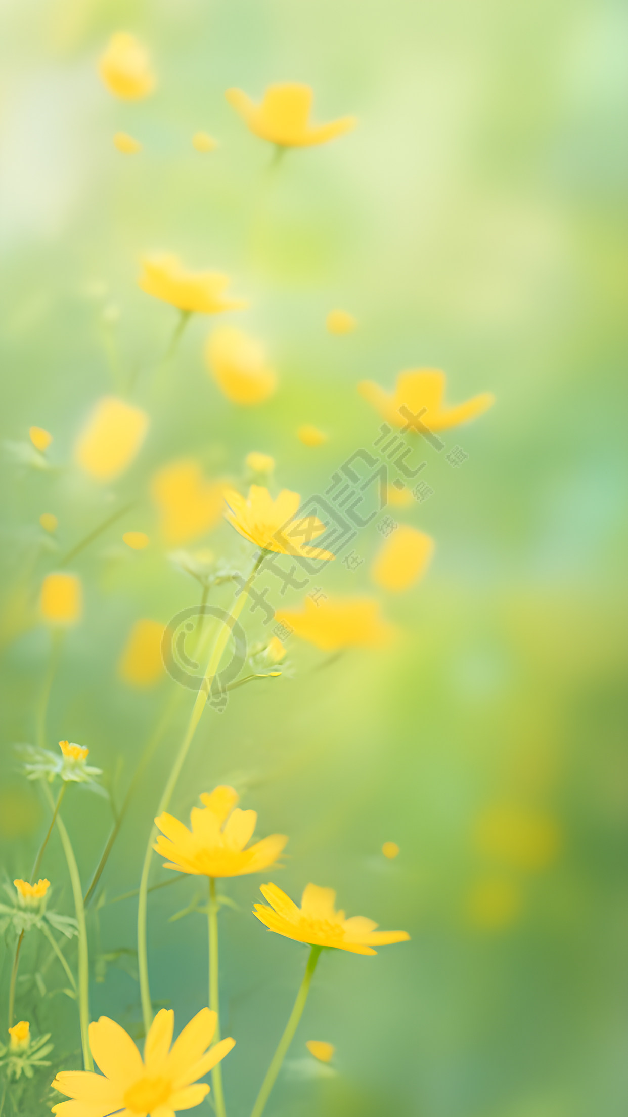 欣欣向荣的黄色小花背景