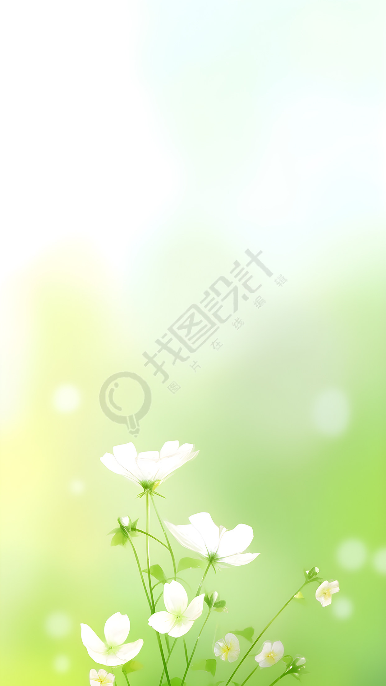 一束白色的小花唯美风景背景