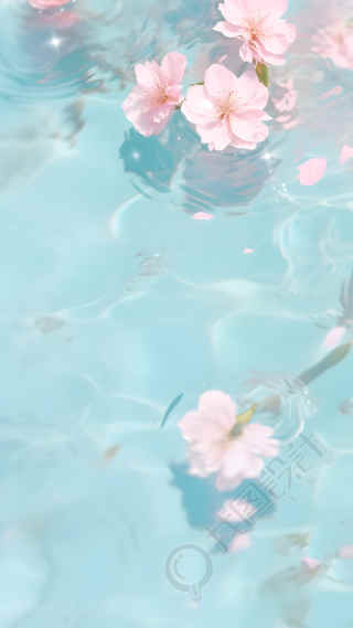 水中的粉色樱花背景