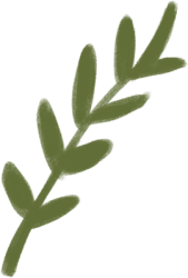 植物叶子