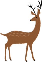 小鹿