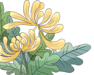 菊花/重阳节