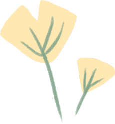 小花