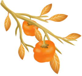 柿子