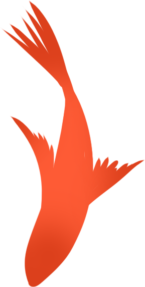 鱼