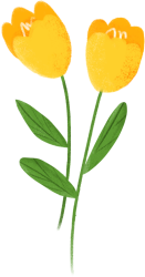 花卉