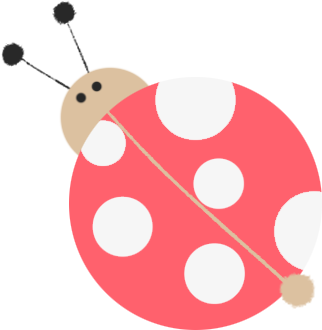 七星瓢虫