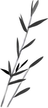 竹子