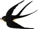 大雁