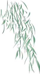 柳条