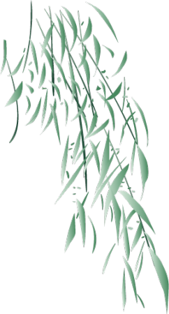 柳条