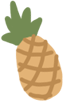 菠萝
