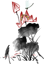 荷花