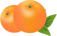橙子