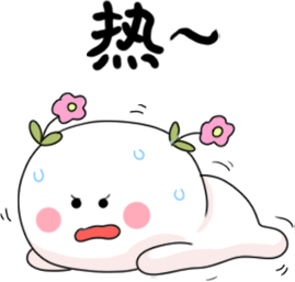 小白