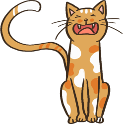 猫咪