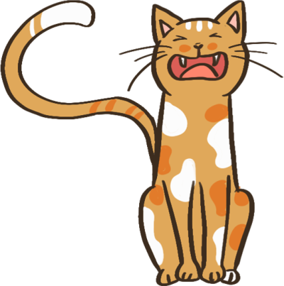 猫咪