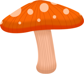 蘑菇