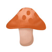 蘑菇