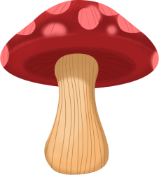 蘑菇