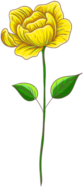 手绘黄色立体花朵