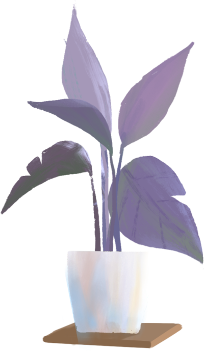 花盆/盆栽