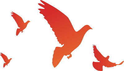 鸽子/国庆节/党政