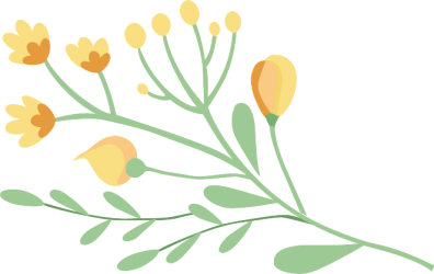 花枝