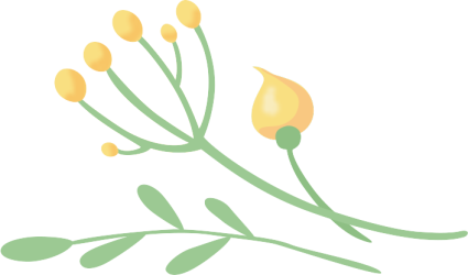 花枝