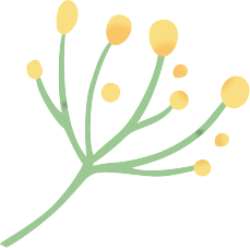 花枝
