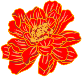手绘立体牡丹花