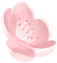 手绘清新粉色花朵
