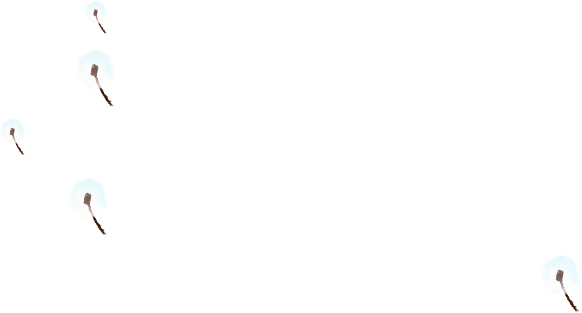 蒲公英