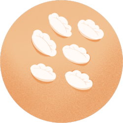 饺子