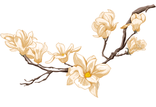 花枝