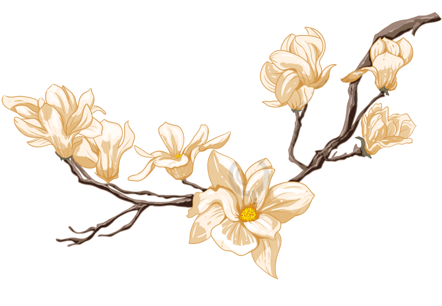 花枝
