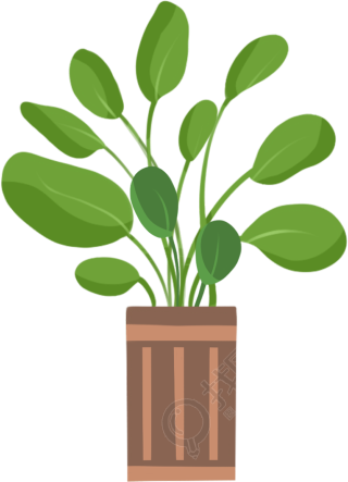 植物2