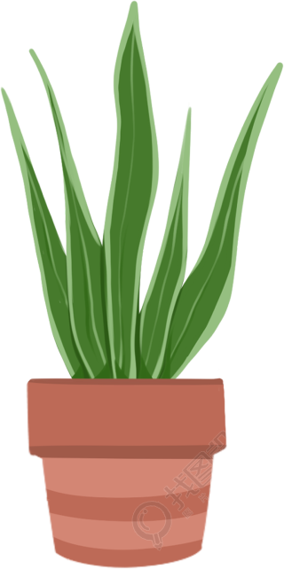 植物3